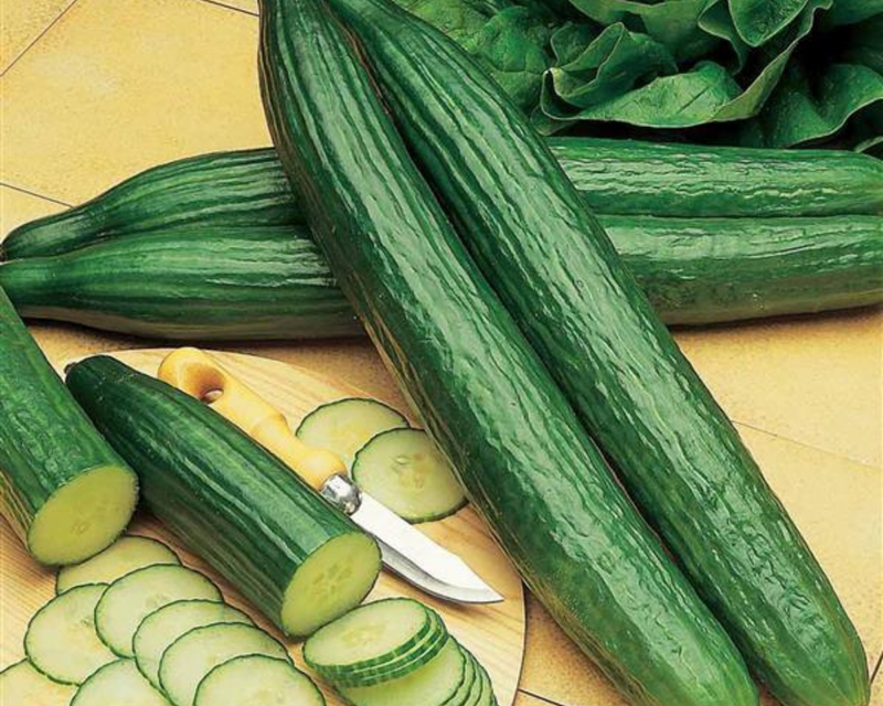Telegraph Improved Cucumber Seeds