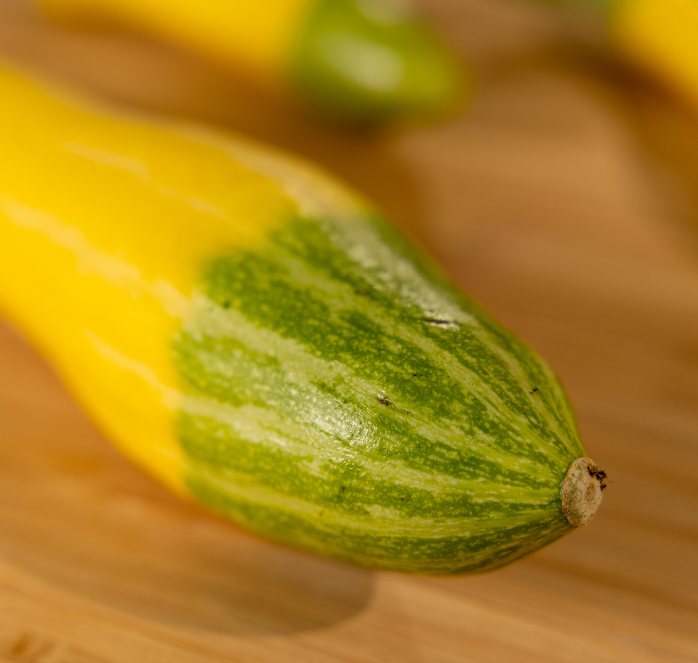 Bulk: Zephyr Hybrid Summer Squash Seeds