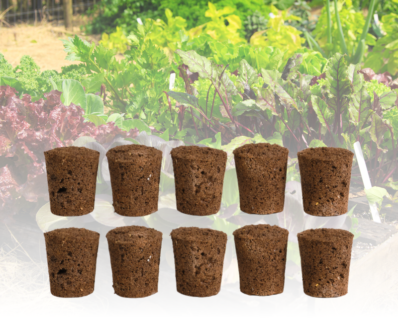 Seed Pod Plugs - Pre-Formed Seed-Starting Medium