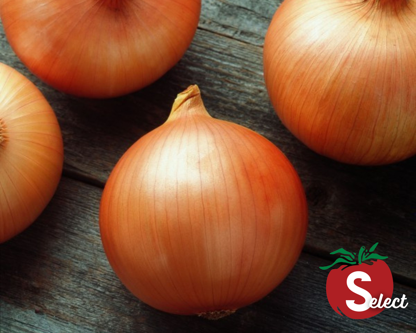 Onions