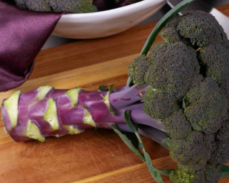 Purple Magic Hybrid Purple Broccoli Seeds