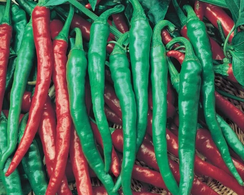 Cayenne Long Red Slim Hot Pepper Seeds