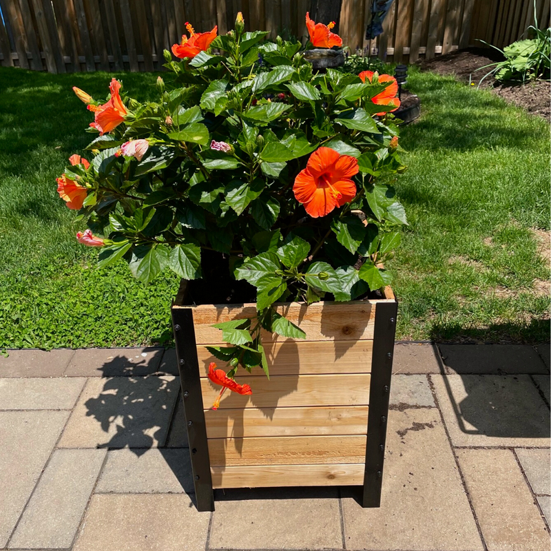 18 plant pot 18" x 18" Planter Box 24" TALL SHIPS IN FEBRUARY