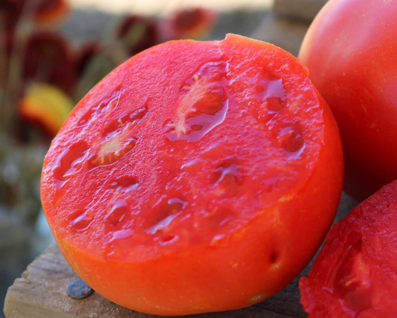 Jamestown Hybrid Tomato Seeds