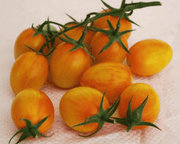 Sunset Torch Hybrid Tomato Seeds