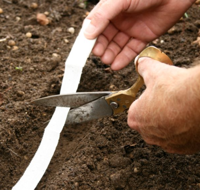 planting carrot seed tape Nantes or Coreless Carrot Seed Tape Seeds — Seeds 'n Such
