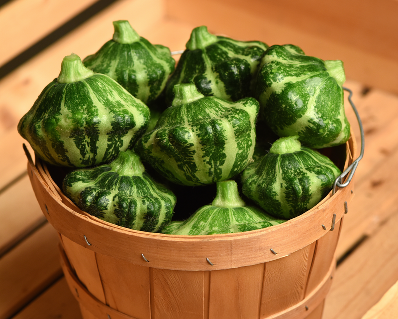 Green Lightning Hybrid Squash Seeds