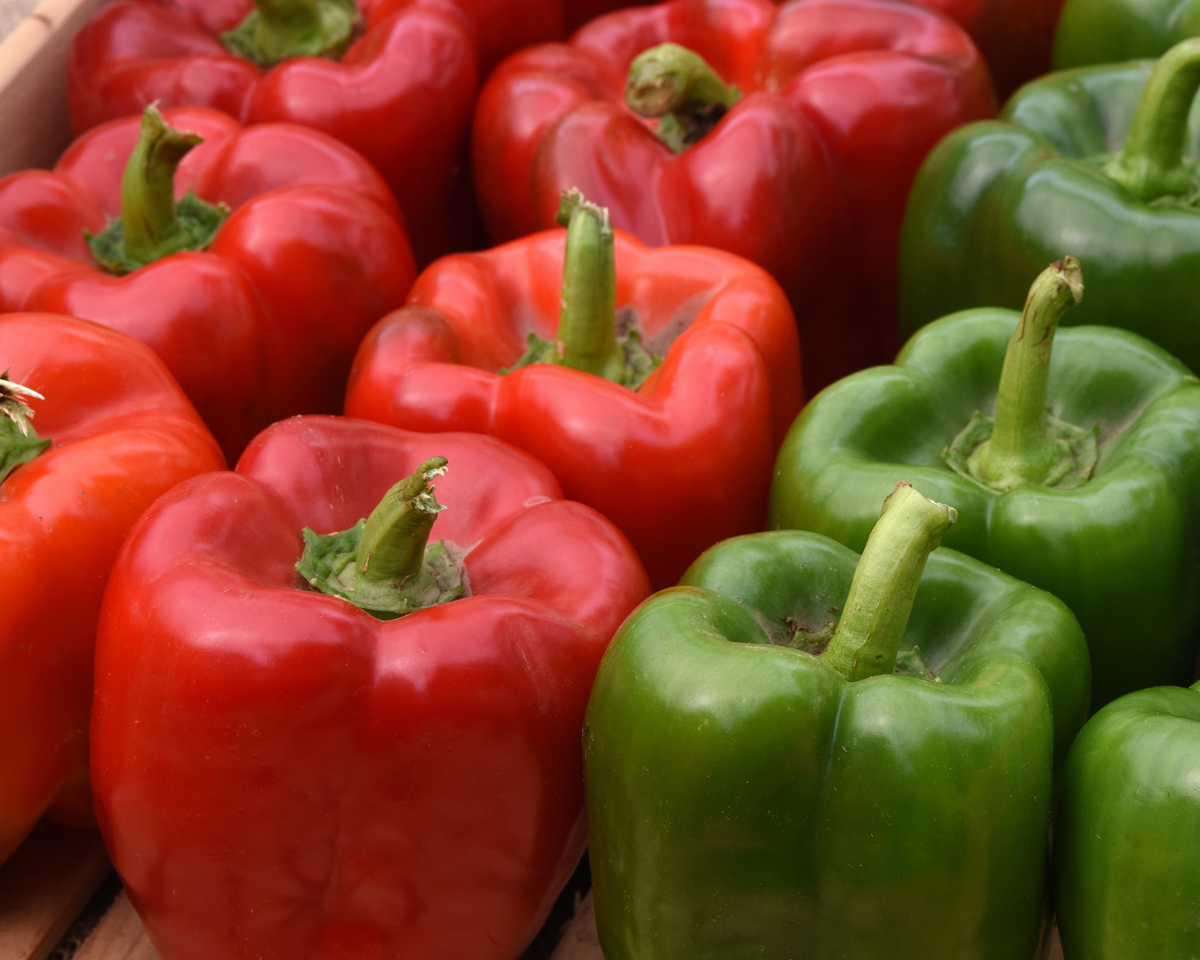 Kickstart Hybrid Pepper Seeds