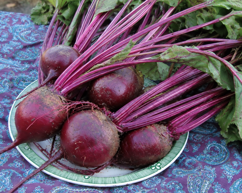 Detroit Dark Red Beet Seeds