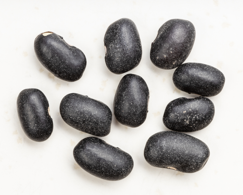 Black Turtle Bush Bean Seeds
