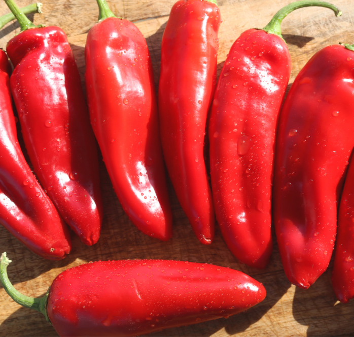 Bulk: Biggie Chile Hybrid Hot Pepper Seeds
