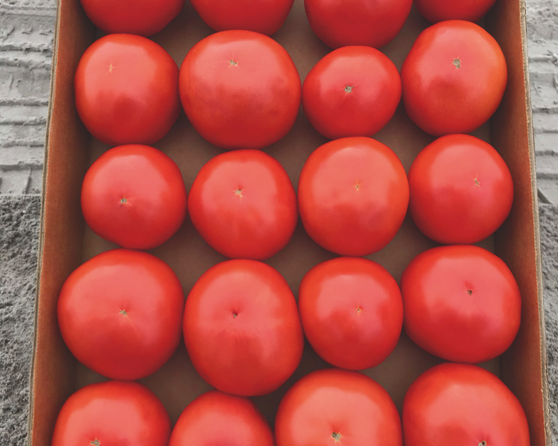 Jolene Hybrid Tomato Seeds