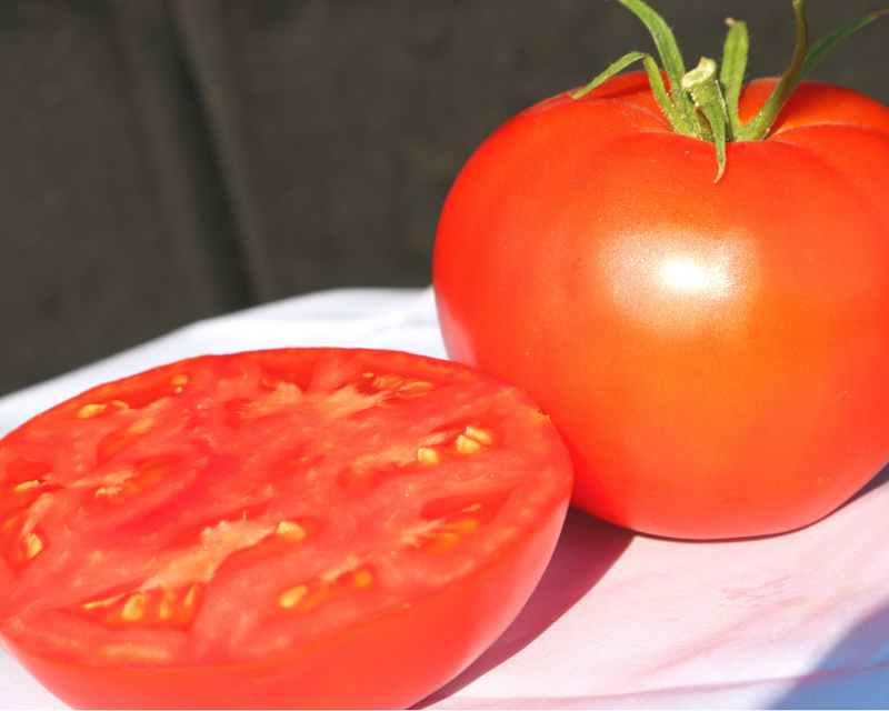 Jetsetter Hybrid Slicing VFNASt Tomato Seeds