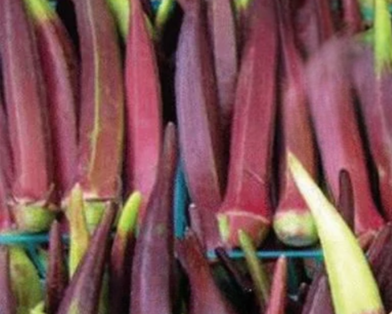 Bulk: Burgundy Okra Seeds