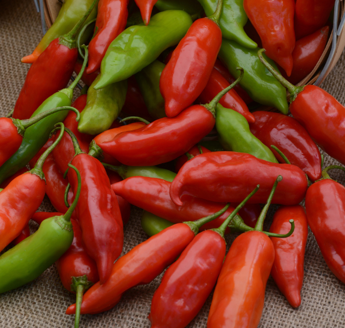 Bulk: Aji Rico Hybrid Pepper Seeds