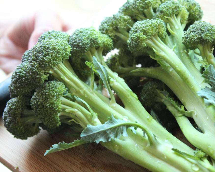 Skytree Hybrid Broccoli Seeds