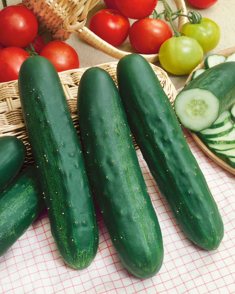 Bulk: Long Green Improved Cucumber Seeds