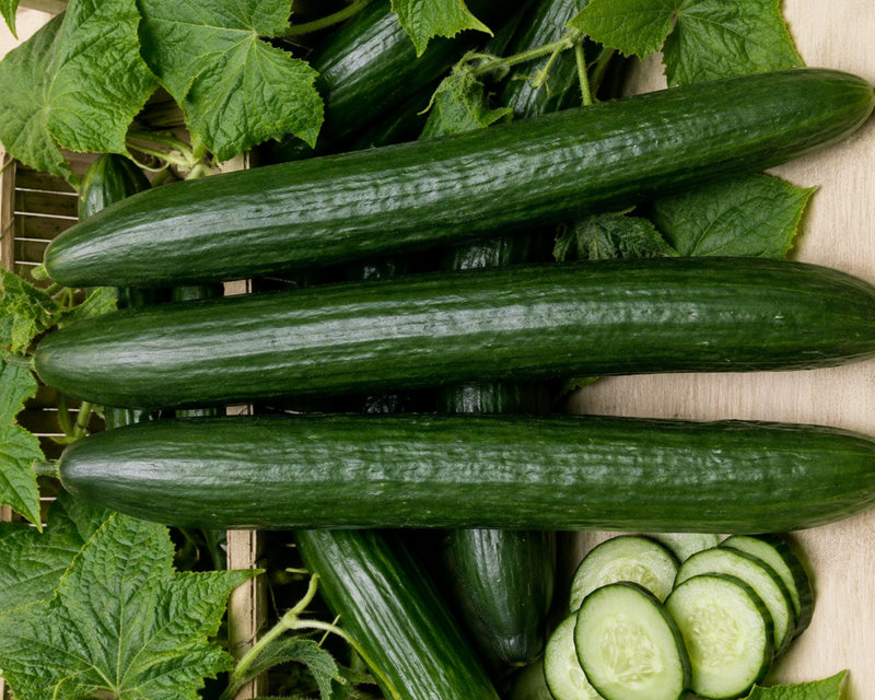 English Sweet Long Slim Hybrid Cucumber Seeds