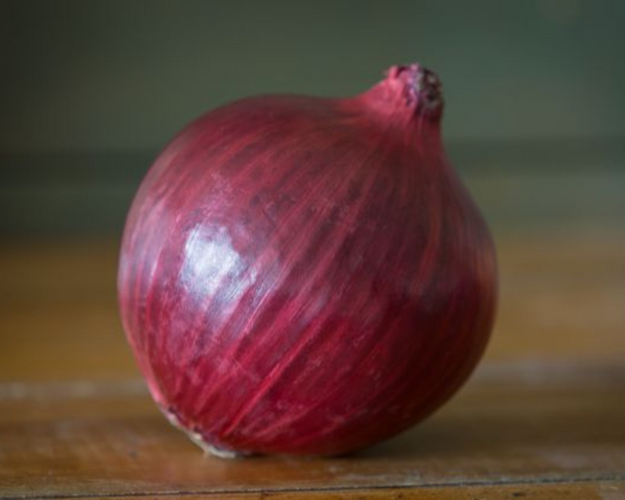 Bulk: Red Nugent Hybrid Onion