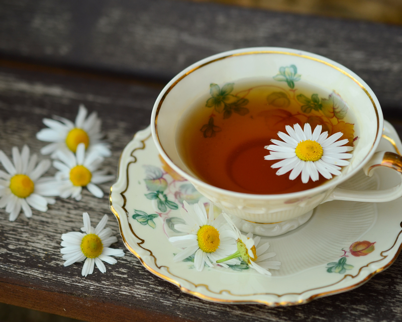 German Chamomile Seeds