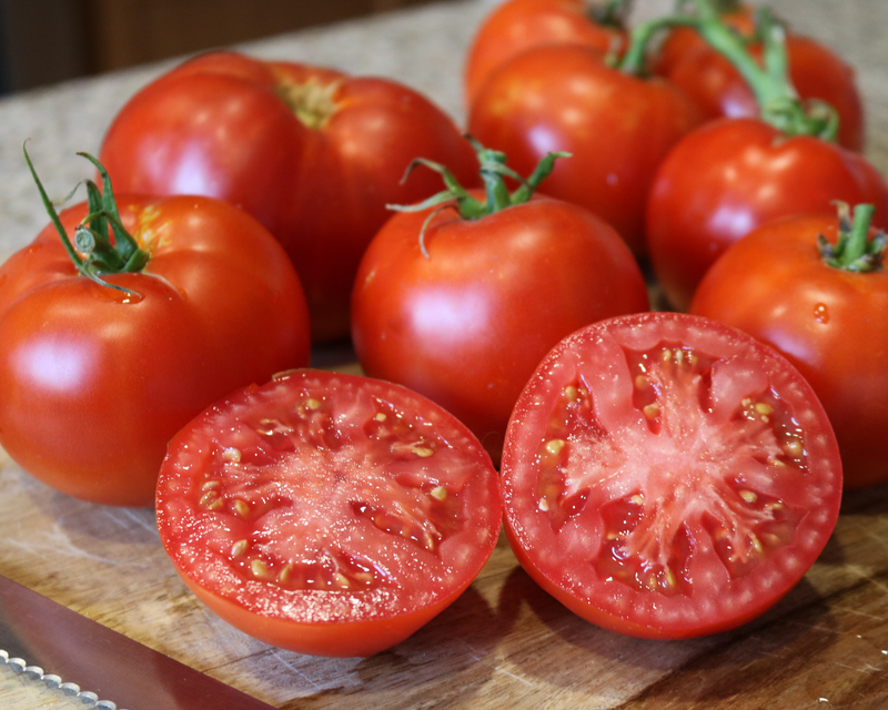 Better Boy Plus Hybrid Slicing VFNTAStTswv Tomato Seeds