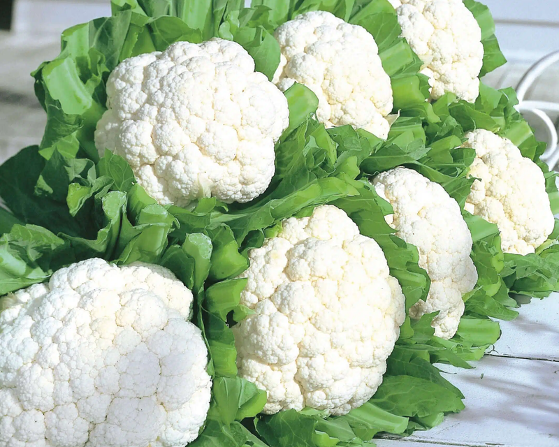 Snow Crown Hybrid Cauliflower Seeds