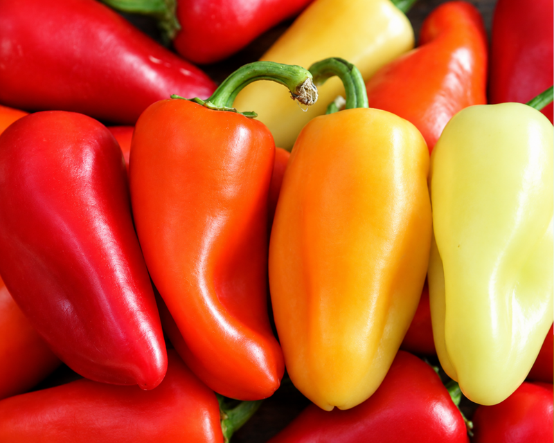 Mariachi Hybrid Hot Pepper Seeds