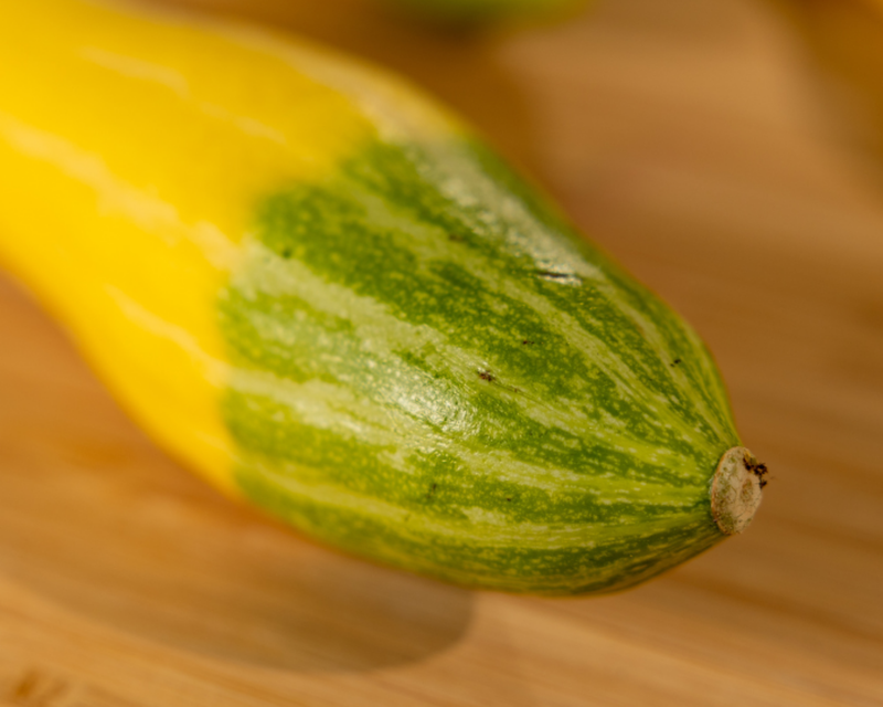 Zephyr Hybrid Summer Squash Seeds