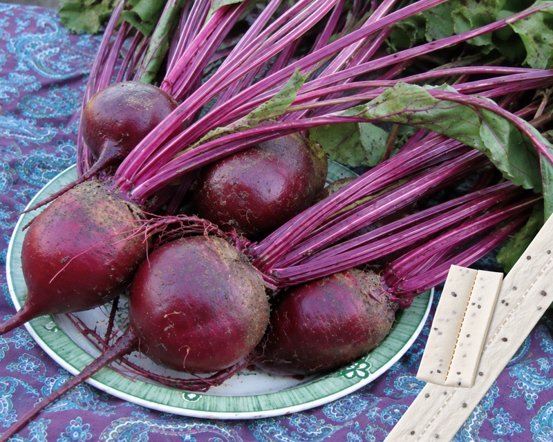 Detroit Dark Red Beet Seed Tape