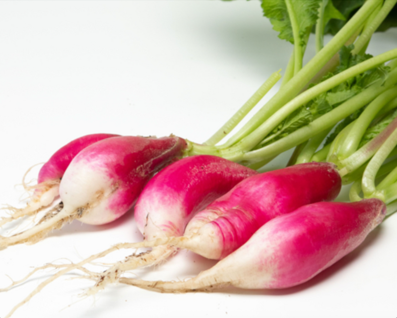 Bulk: French Breakfast Radish Seeds
