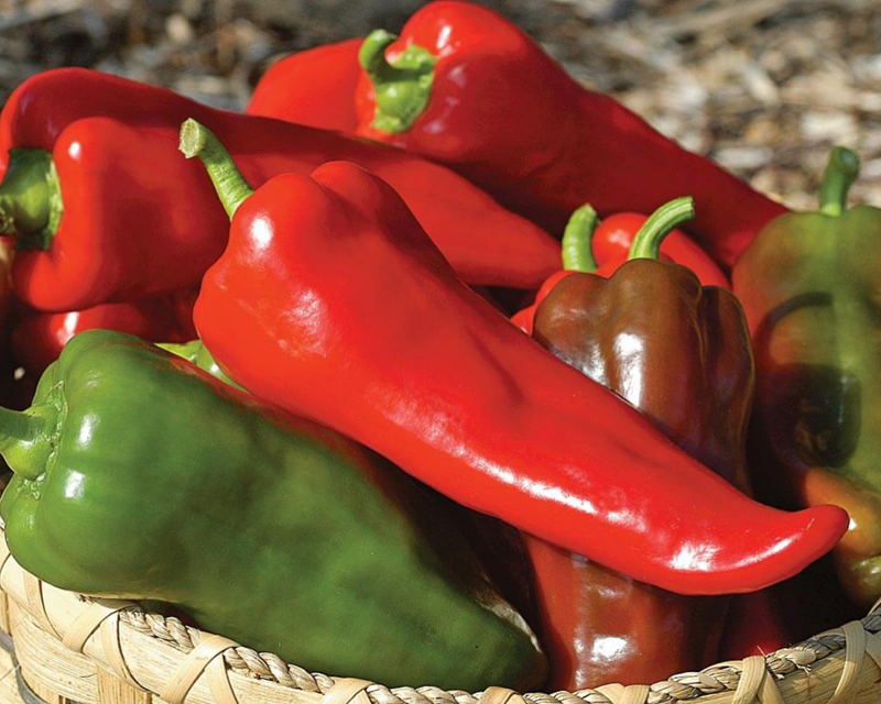 Carmen Hybrid Pepper Seeds