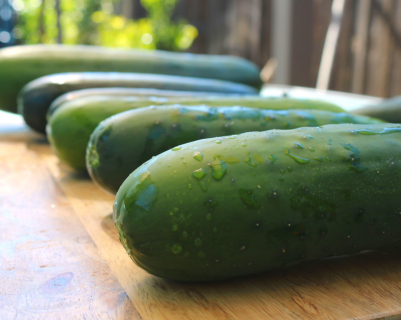 Bulk: Burpless Supreme Hybrid Cucumber Seeds