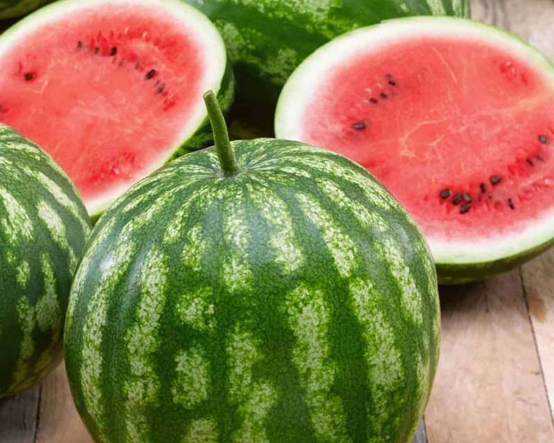 Bulk: Cal Sweet Bush Watermelon Seeds