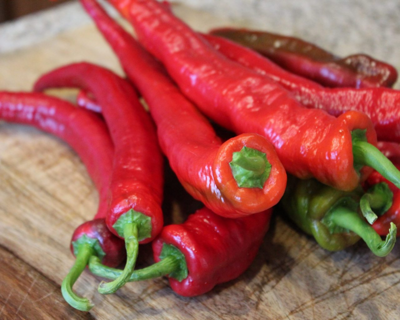 Wildcat Hybrid Cayenne Pepper Seeds