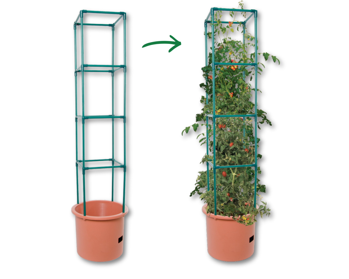 Tomato Barrel with 4-ft. Tower