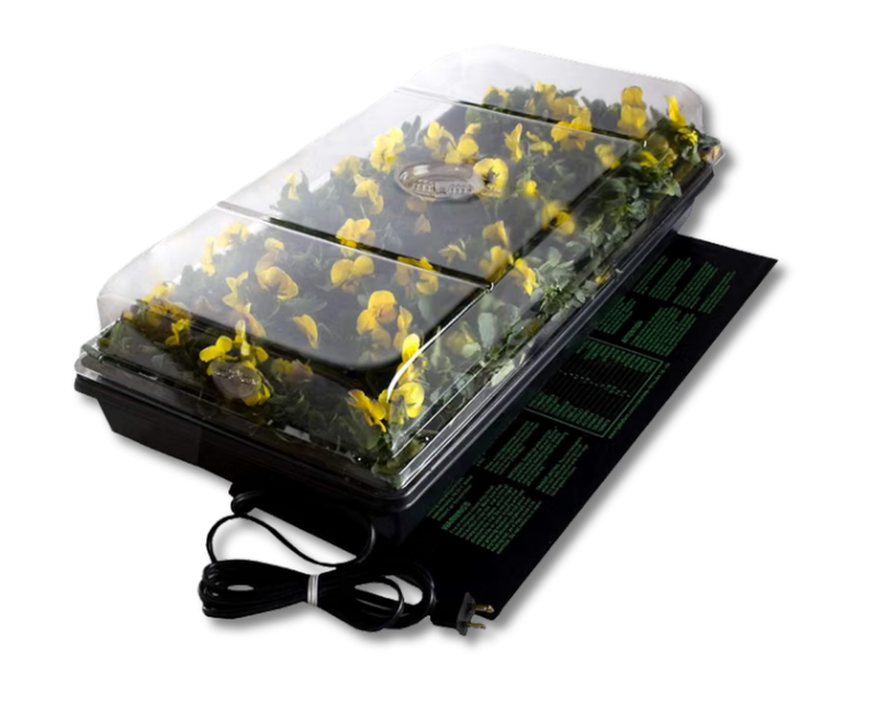 One-Tray Germination Station with Heat Mat