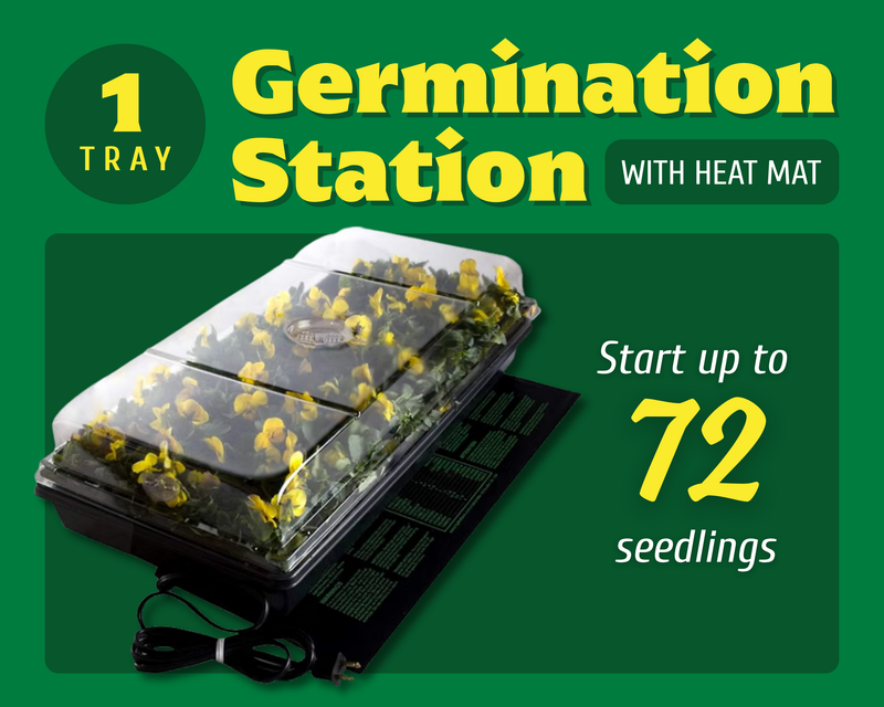 One-Tray Germination Station with Heat Mat