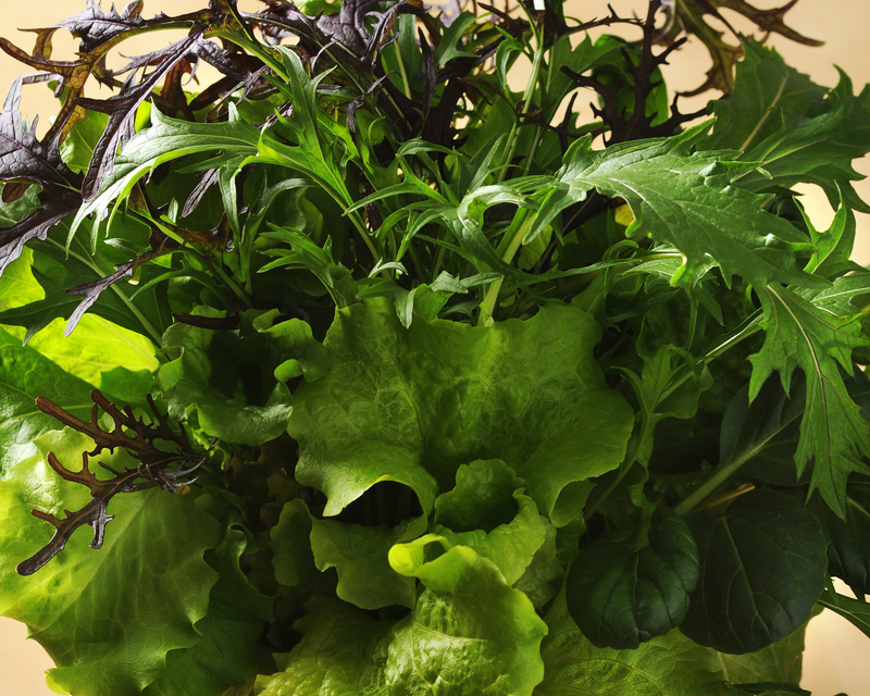 Bulk: SimplySalad® Global Gourmet Mix Seeds