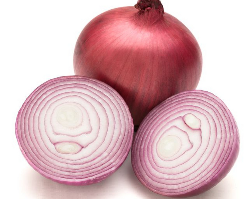 Red Nugent Hybrid Onion