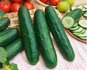Long Green Improved Cucumber Seeds