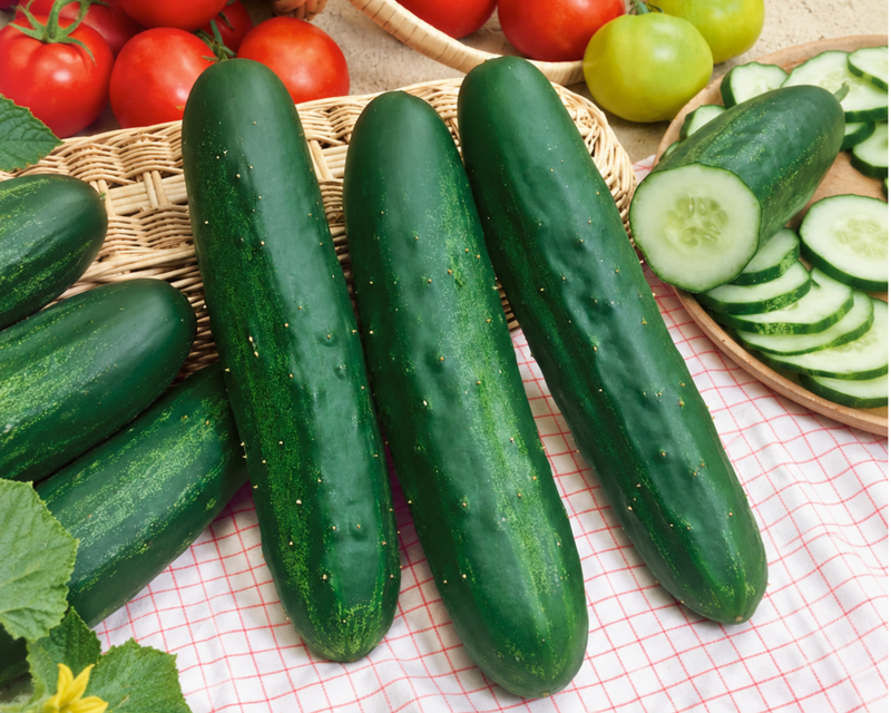 Bulk: Long Green Improved Cucumber Seeds