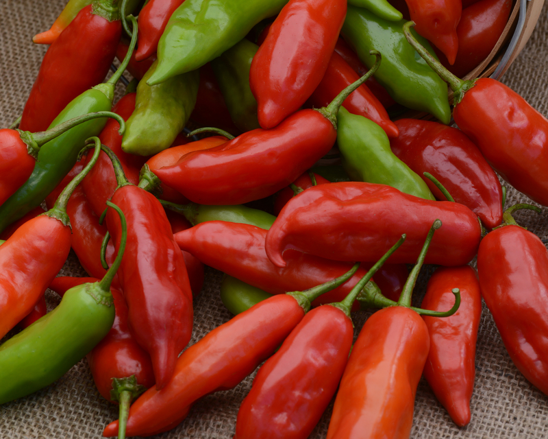 Aji Rico Hybrid Pepper Seeds