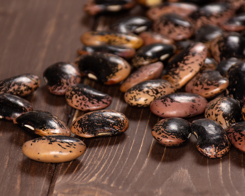 Bulk: Painted Lady Runner Bean Seeds