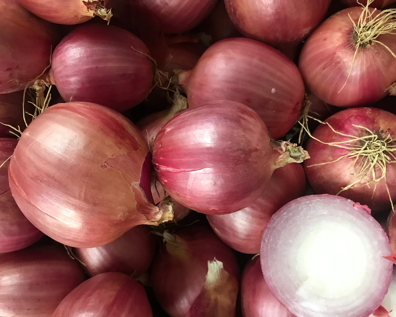 Bulk: Blush Hybrid Onion Seeds