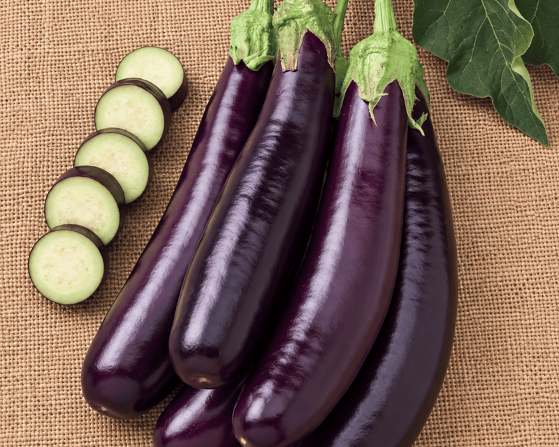Hansel Hybrid Eggplant Seeds