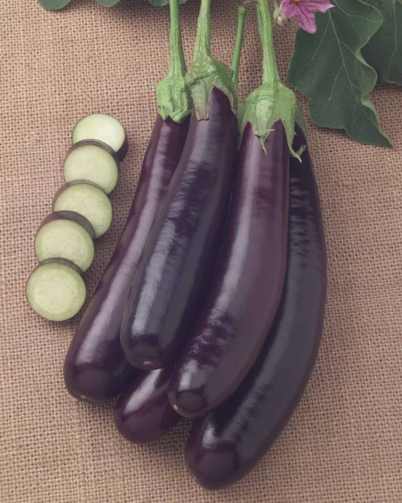 Hansel Hybrid Eggplant Seeds