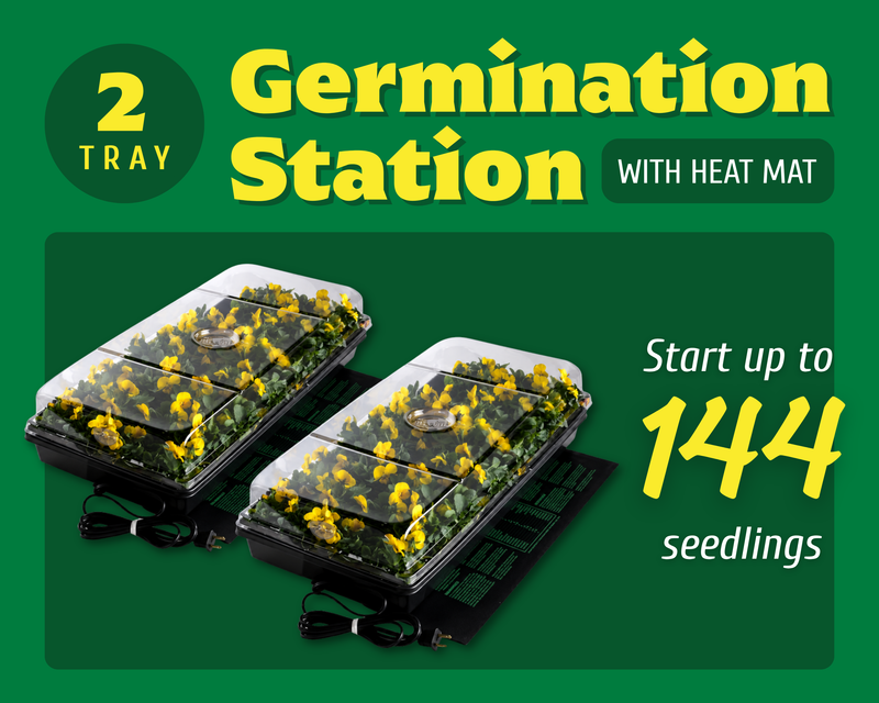 Two-Tray Germination Station with Heat Mat