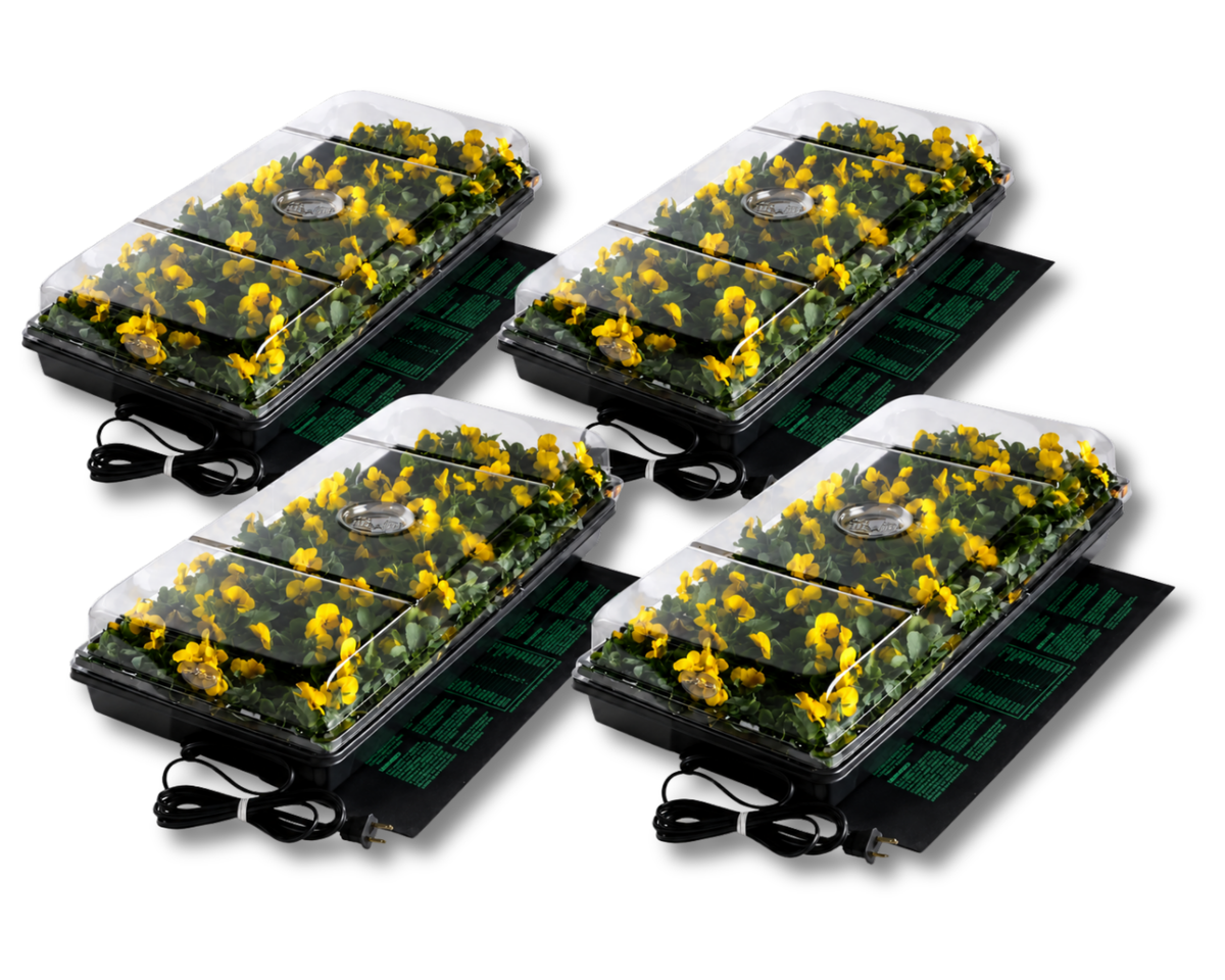 Four-Tray Germination Station with Heat Mat