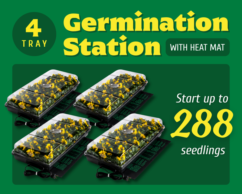 Four-Tray Germination Station with Heat Mat