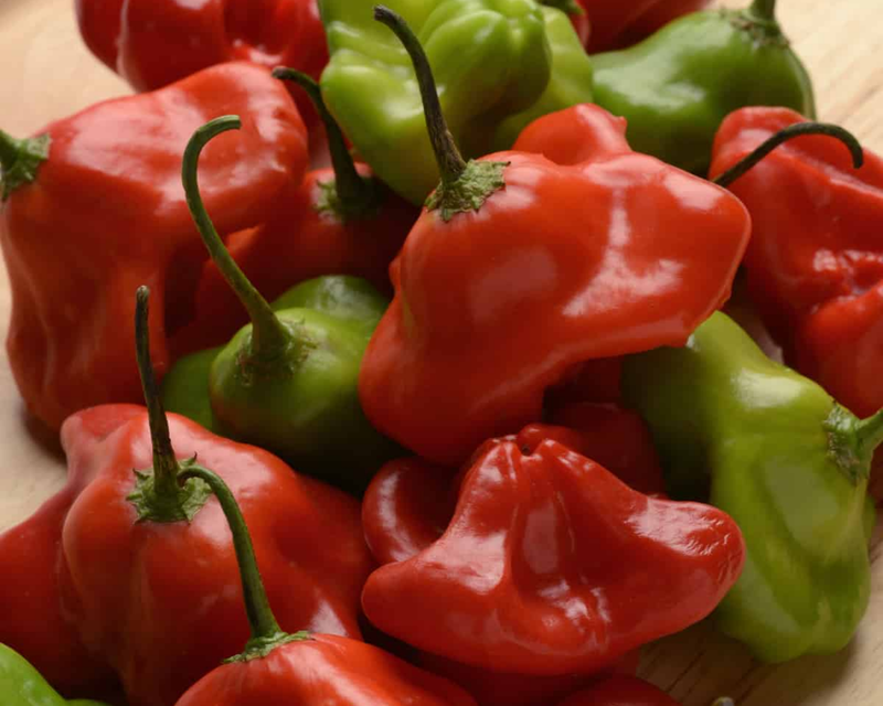 Bulk: Mad Hatter Hybrid Pepper Seeds